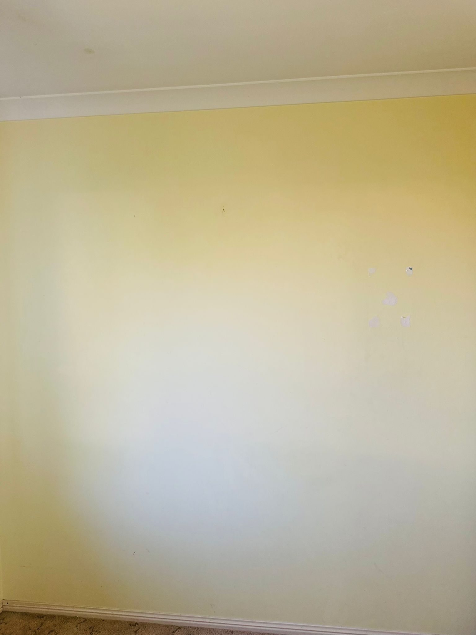 Before: interior prior to repaint, Bald Hills