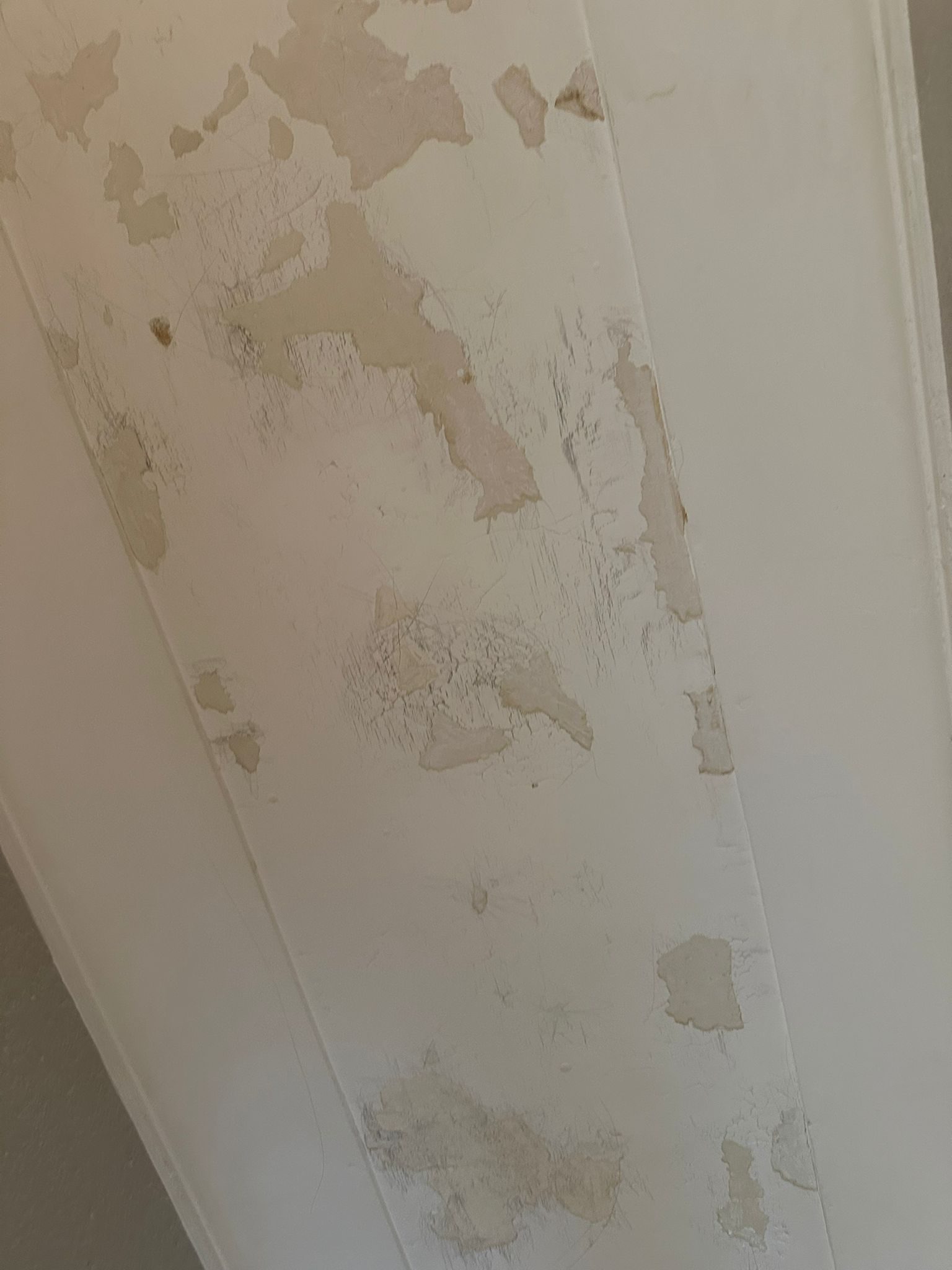 Before: ceiling and cornice prior to repaint, Hamilton